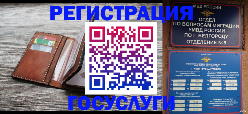 прописка 2025 в Алексине
